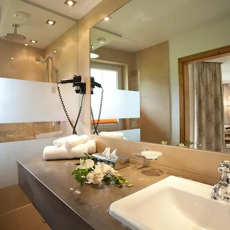 Lisa 호텔 플라차우